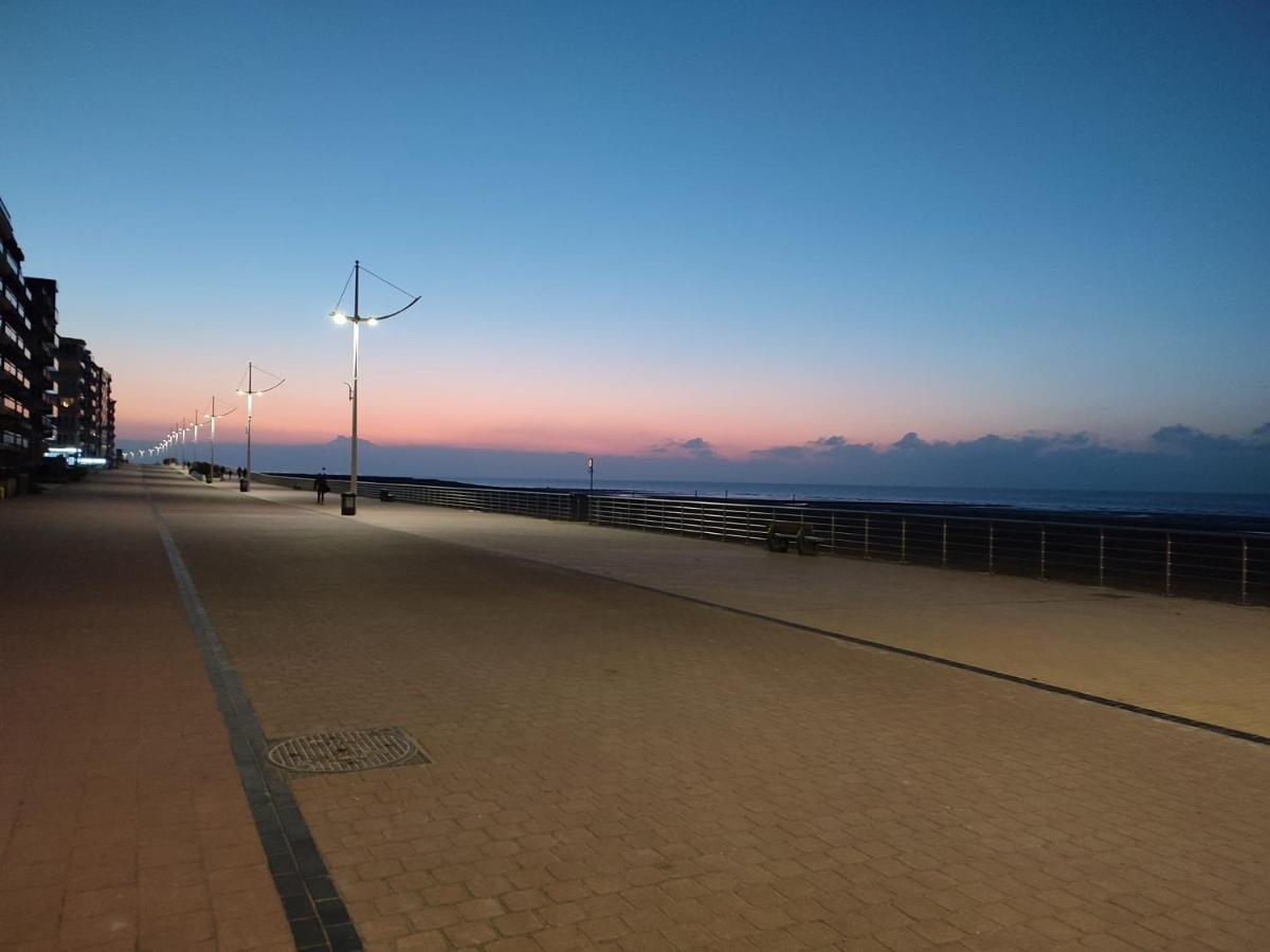 Zilverzand Aan Zee - Frontaal Zeezicht 科克赛德 外观 照片